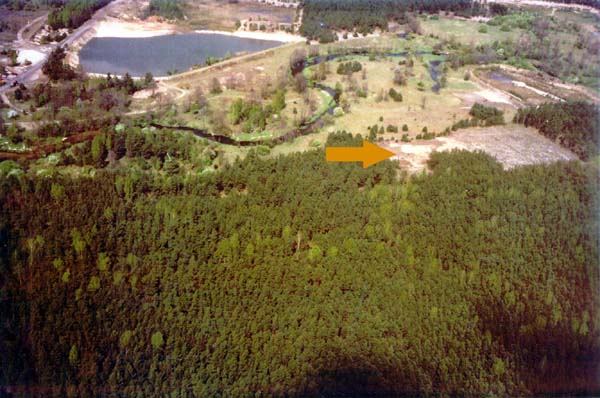 ilustracja dekoracyjna